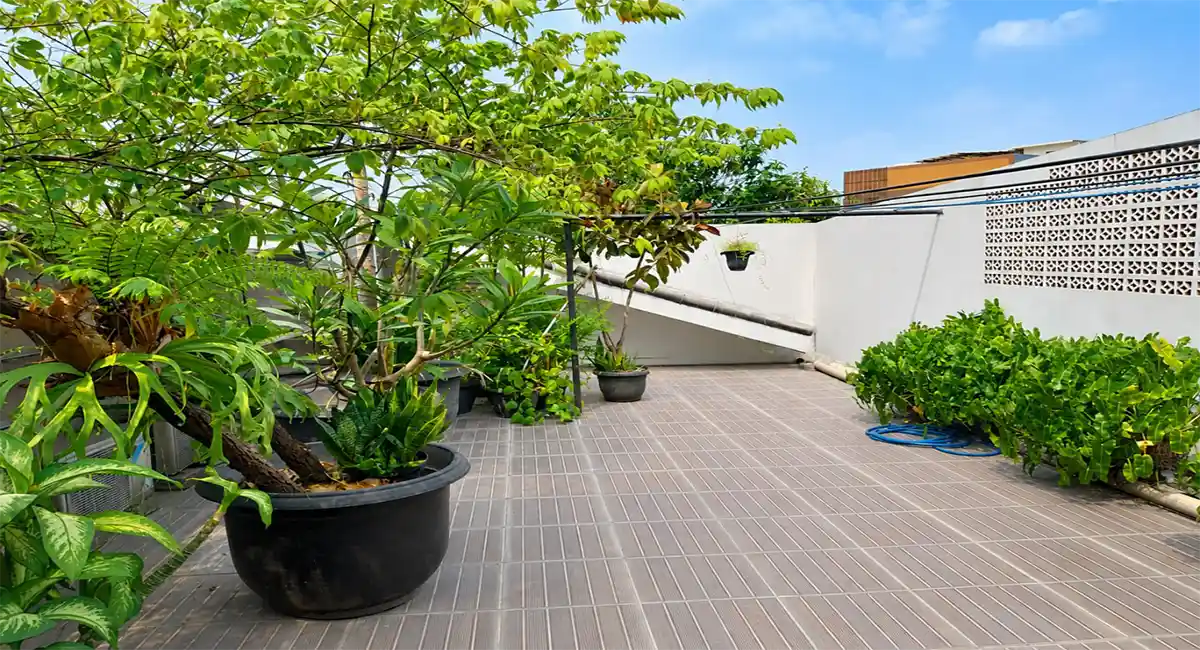 Jual Kost Premium Kebayoran Baru Jakarta Selatan Taman Top Outdoor
